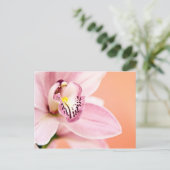Cymbidium Orchid Postkarte (Stehend Vorderseite)