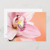 Cymbidium Orchid Postkarte (Vorne/Hinten)