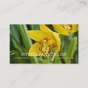 Cymbidium-Orchidee Visitenkarte
