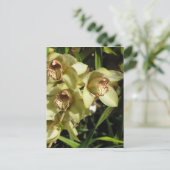 Cymbidium Orchideen Postkarte, anpassen Postkarte (Stehend Vorderseite)