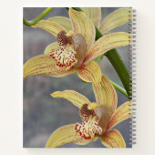 Cymbidium Orchids Blumenbuch Notizblock (Rückseite)