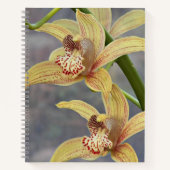 Cymbidium Orchids Blumenbuch Notizblock (Vorderseite)