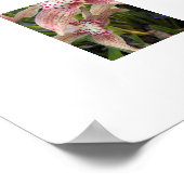 Cymbidium Orchids florale Poster (Ecke)