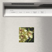 Cymbidium-Orchids-Magnet Magnet (In Situ (Geschirrspüler))