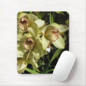 Cymbidium Orchids mousepad (Mit Mouse)