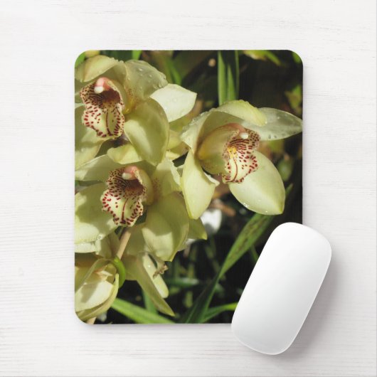 Cymbidium Orchids mousepad (Mit Mouse)
