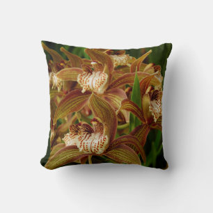 Cymbidium tracyana kissen