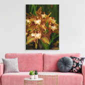 Cymbidium tracyana leinwanddruck (Insitu (Wohnzimmer))