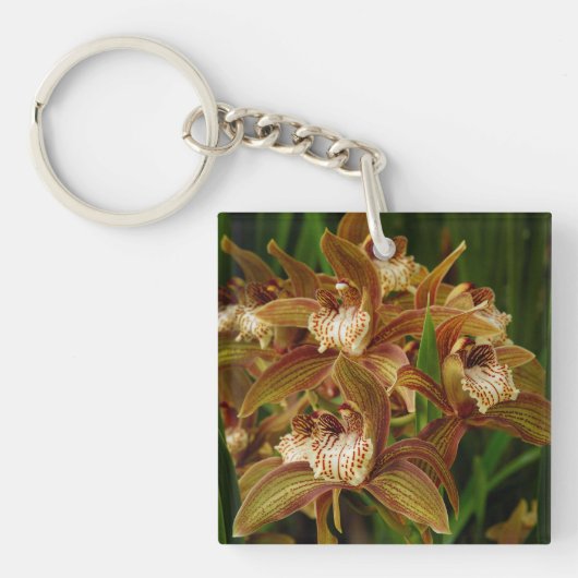 Cymbidium tracyana schlüsselanhänger (Vorderseite)