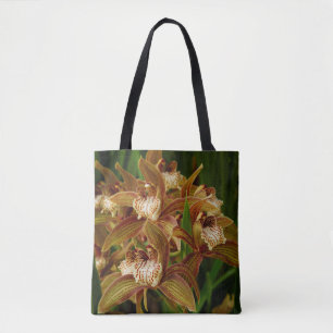 Cymbidium tracyana tasche