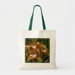 Cymbidium tracyana tragetasche