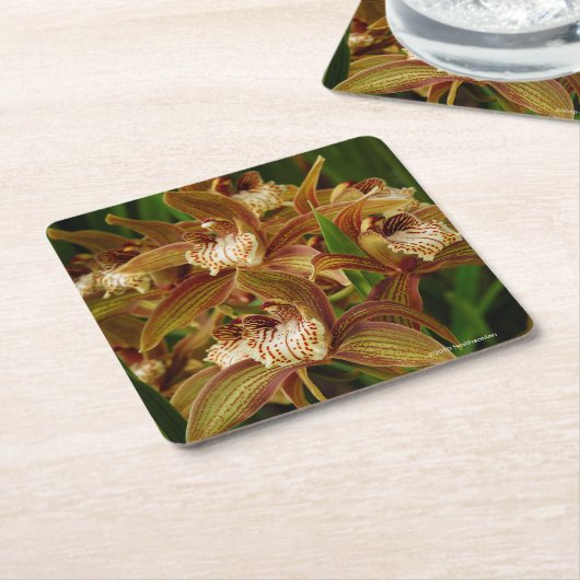 Cymbidium tracyanum rechteckiger pappuntersetzer (angewinkelt)