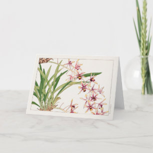 Cymbidium von Tanigami Konan Karte