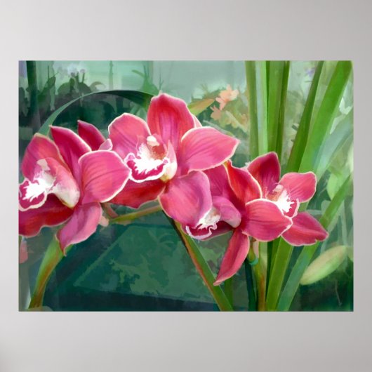 Cymbidiumhalbmond Poster (Vorne)