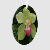 Cymbidiumorchius Ornament (Vorderseite)