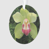 Cymbidiumorchius Ornament (Vorderseite)