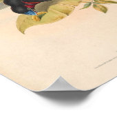 Cymbirhynchus Macrorhynchos Vintag Bird oF Asien Poster (Ecke)