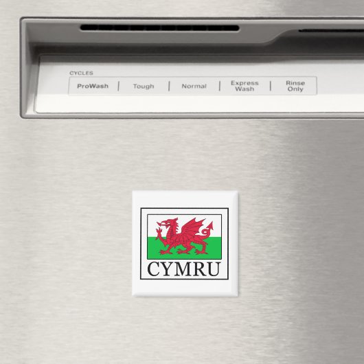Cymru Magnet (In Situ (Geschirrspüler))