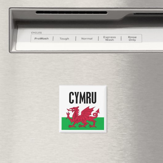 Cymru Magnet (In Situ (Geschirrspüler))