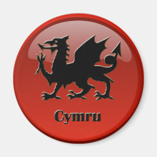 Cymru, magnet, magnet