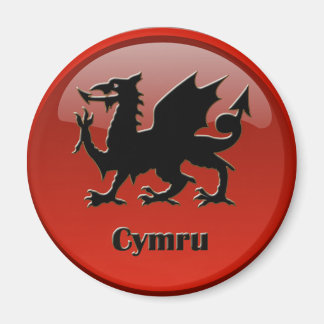 Cymru, magnet, magnet