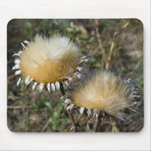 Cynara cardunculus mousepad