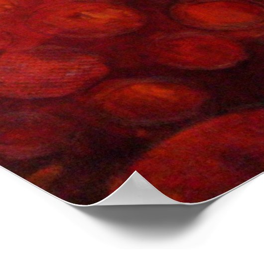 Cyndi's Garden - Poster (Ecke)