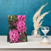 Cynthia Rhododendrons, Oregon Fotoplatte (Seite)