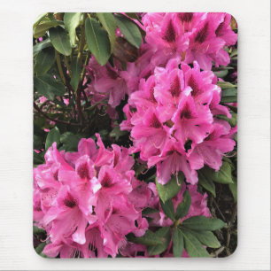 Cynthia Rhododendrons, Oregon Mousepad