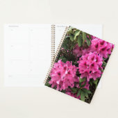 Cynthia Rhododendrons, Oregon Planer (Anzeige)