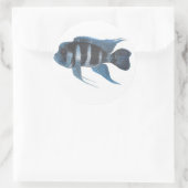 Cyphotilapia frontosa Cichlid-Aufkleber Runder Aufkleber (Tasche)