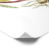 Cyprepedium calceolus poster (Ecke)