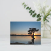 Cypress bei Sunset Postkarte (Stehend Vorderseite)