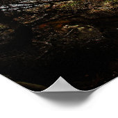 Cypress Coast Print Poster (Ecke)