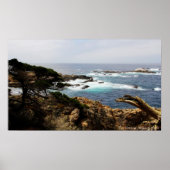 Cypress Coast Print Poster (Vorne)