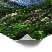Cypress Creek Poster (Ecke)