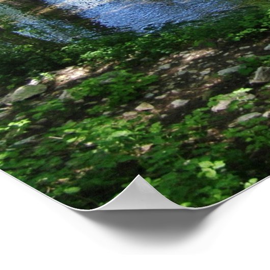 Cypress Creek Poster (Ecke)