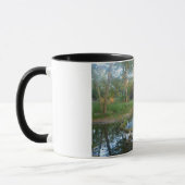 Cypress Creek Tasse (Links)
