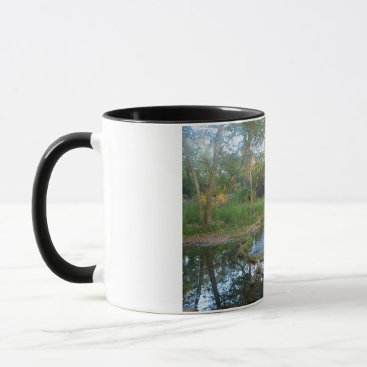 Cypress Creek Tasse (Links)