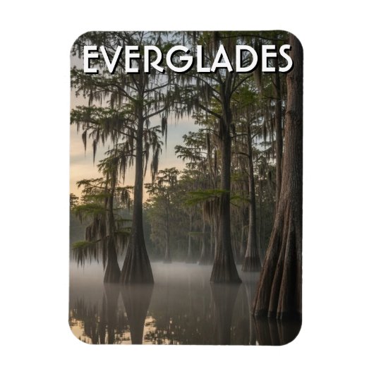 Cypress-Dom Everglades-Nationalpark Florida Magnet (Vertikal)
