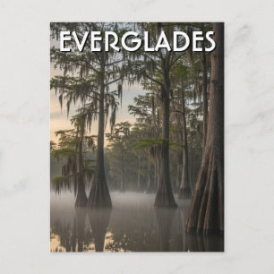 Cypress-Dom Everglades-Nationalpark Florida Postkarte