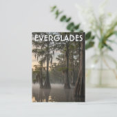 Cypress Dome Everglades National Park Florida Postkarte (Stehend Vorderseite)