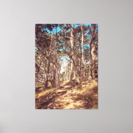 Cypress Forest Leinwanddruck