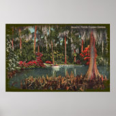 Cypress Gardens Florida Canvas Print Poster (Vorne)