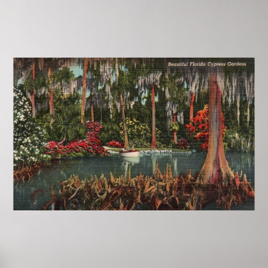 Cypress Gardens Florida Poster (Vorne)