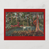 Cypress Gardens Vintag Postcard Postkarte (Vorderseite)