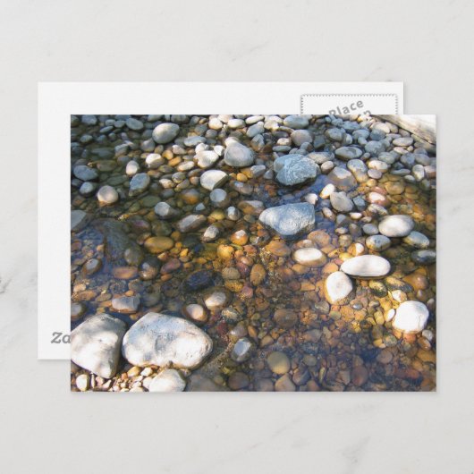 Cypress Hills, Alb. Kanada Postkarte (Vorne/Hinten)