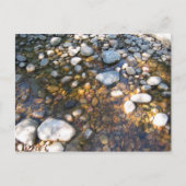 Cypress Hills, Alb. Kanada Postkarte (Vorderseite)