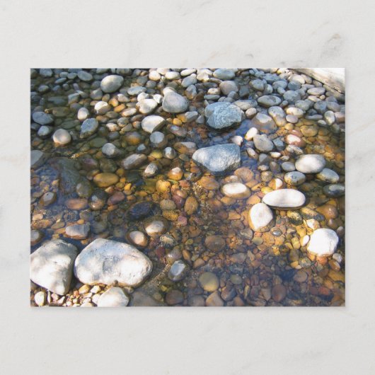 Cypress Hills, Alb. Kanada Postkarte (Vorderseite)