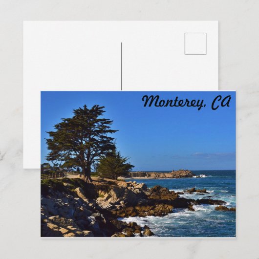 Cypress in Monterey Postkarte (Vorne/Hinten)